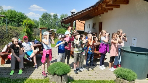  Jaro se do léta promění