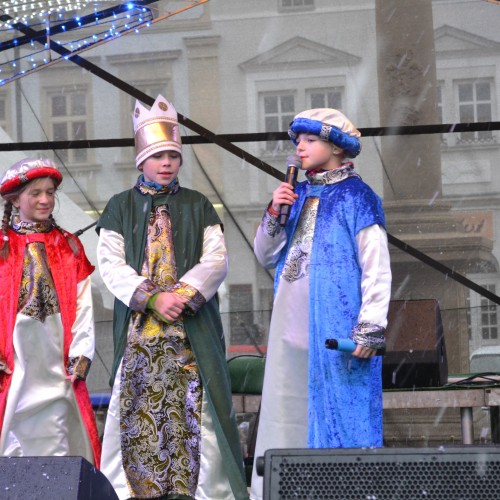 DSC 0784.JPG