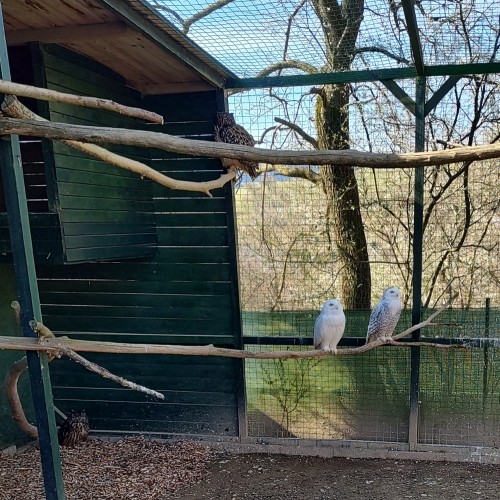 IMG 20250409 095335248 HDR