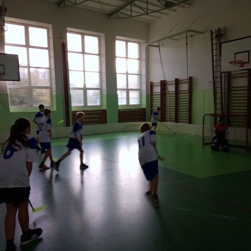 IMG 20241017 081315