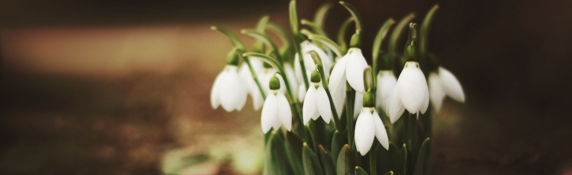 Ilustrační obrázek slideru