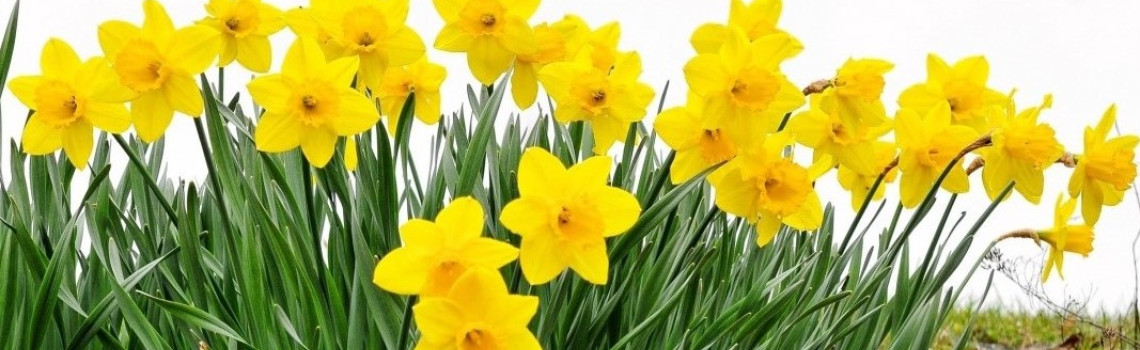 Ilustrační obrázek slideru