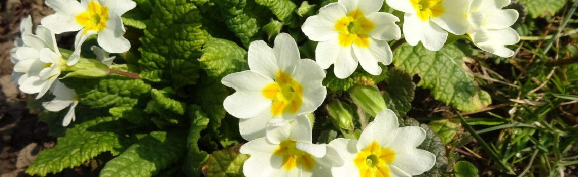 Ilustrační obrázek slideru